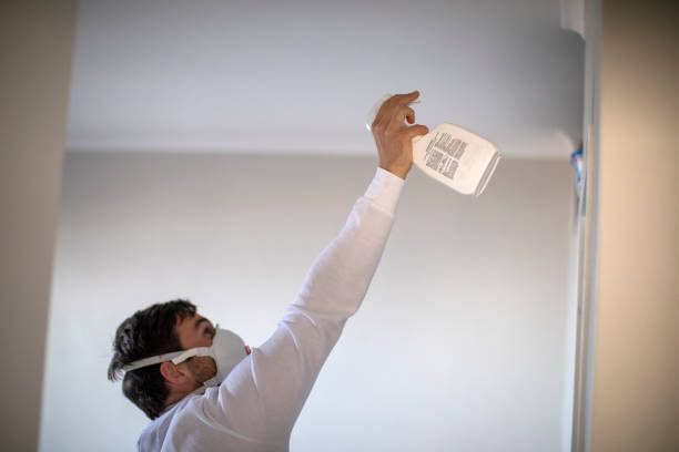 Best Attic Mold Remediation in Fairburn, GA